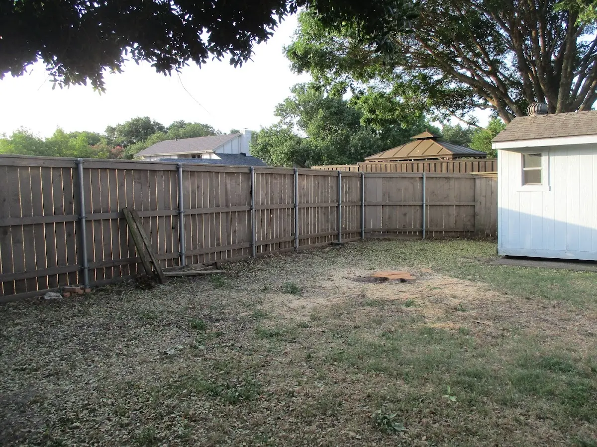 Cleared yard after professional tree removal in Hanson